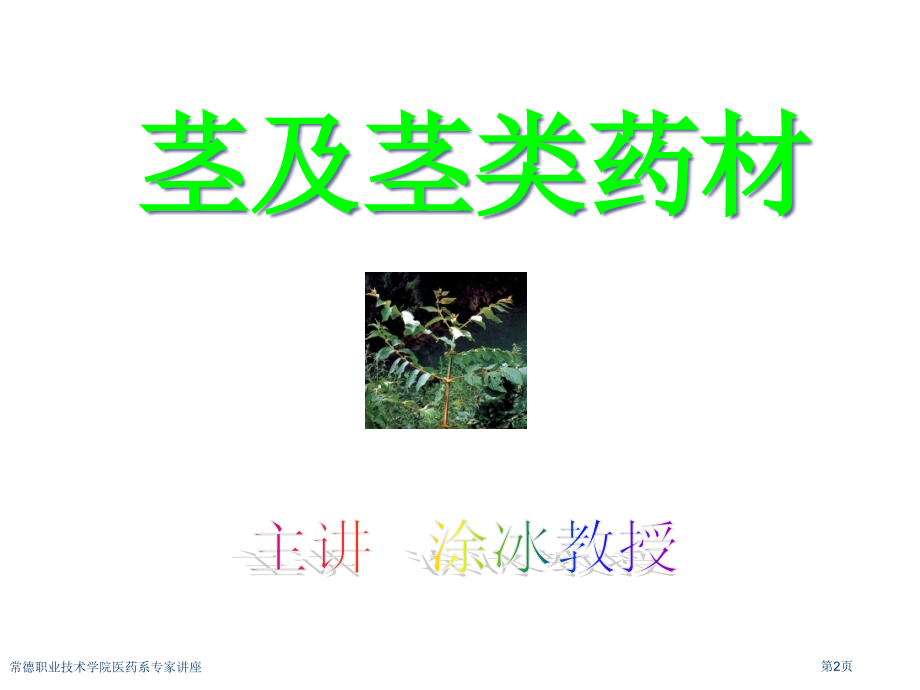 常德职业技术学院医药系.pptx_第2页