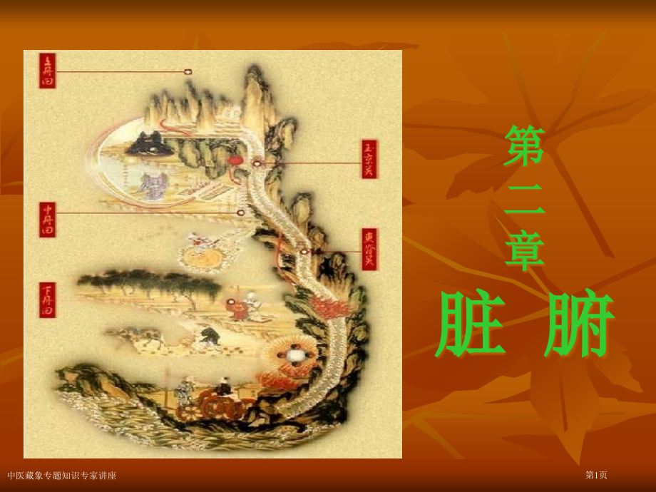 中医藏象专题知识.pptx_第1页