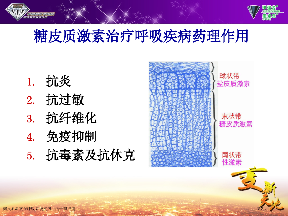 糖皮质激素在呼吸系统疾病中的合理应用.pptx_第2页