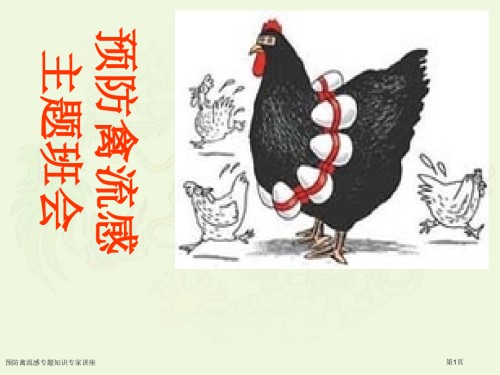 预防禽流感专题知识.pptx