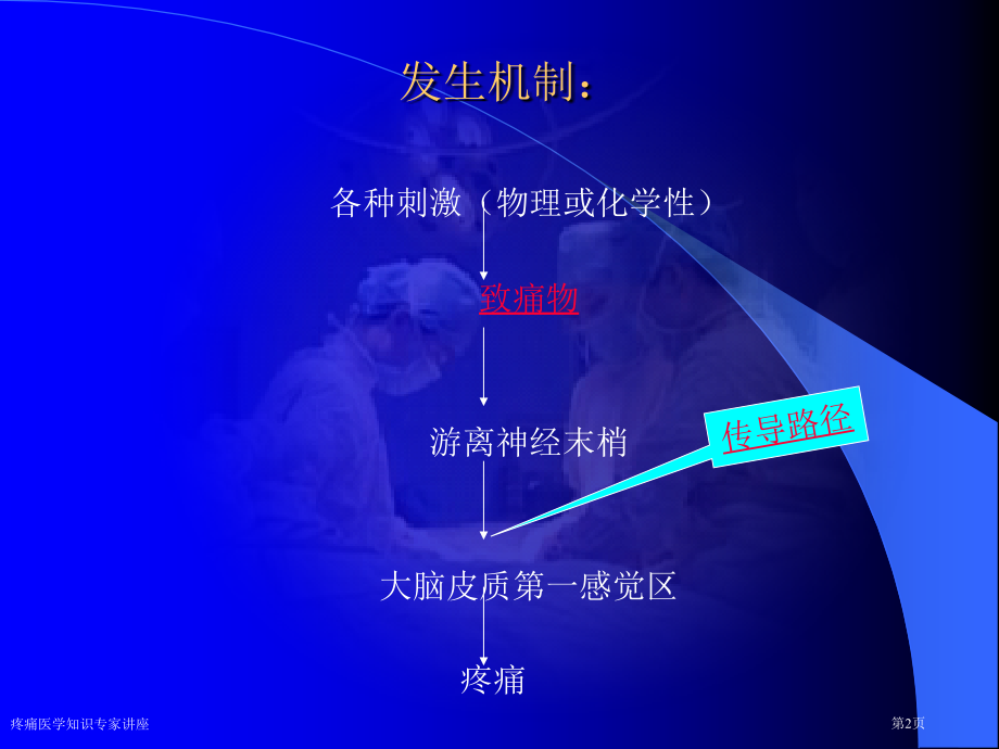 疼痛医学知识.pptx_第2页
