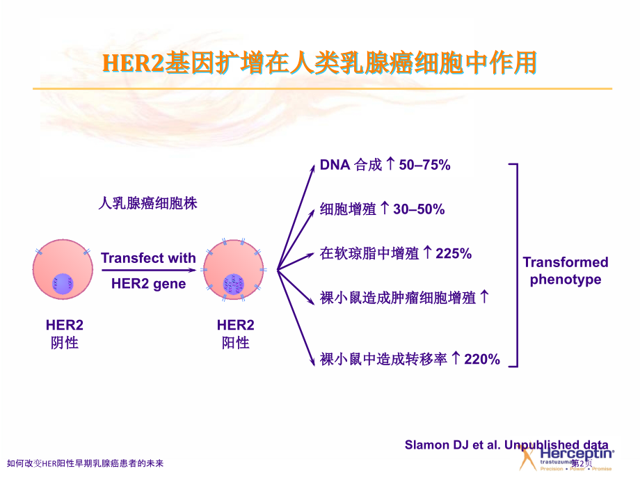 如何改变HER阳性早期乳腺癌患者的未来.pptx_第2页