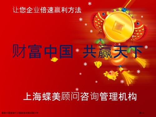 蝶美中国美容行业盈利模式.pptx