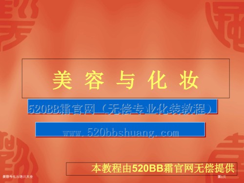 美容与化妆培训大全.pptx