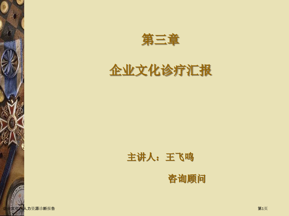 企业文化与人力资源诊断报告.pptx_第1页