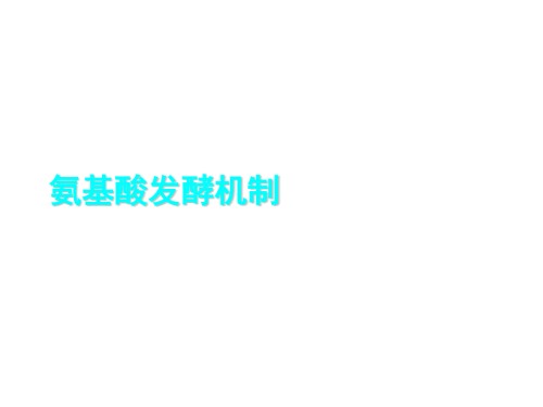 氨基酸发酵机制.pptx
