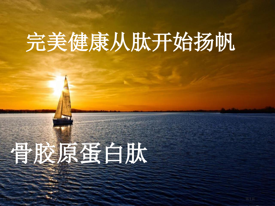 胶原蛋白肽专题宣讲.pptx_第1页