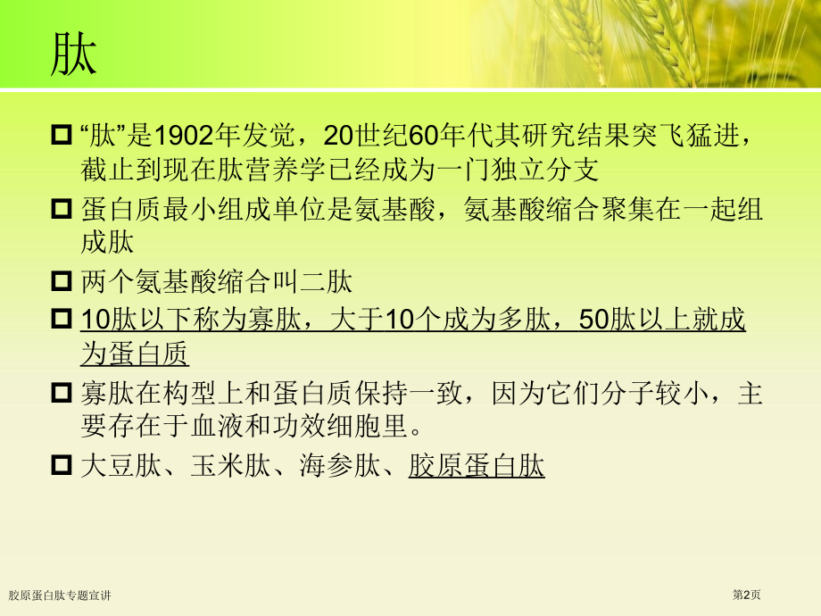 胶原蛋白肽专题宣讲.pptx_第2页