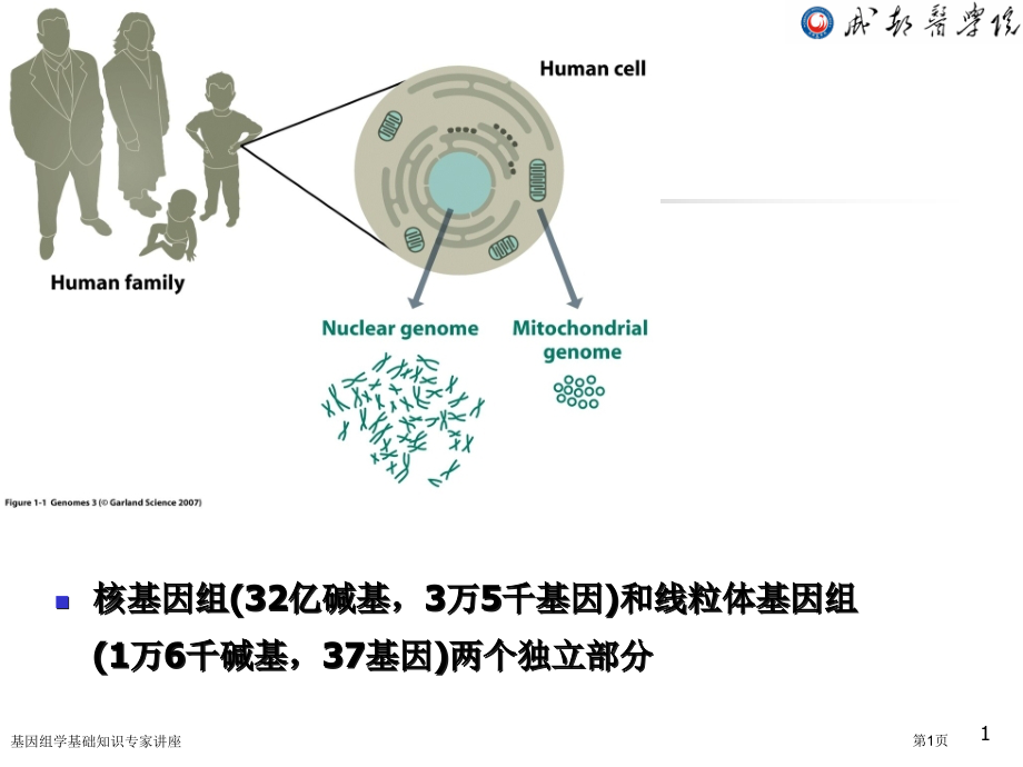 基因组学基础知识.pptx_第1页