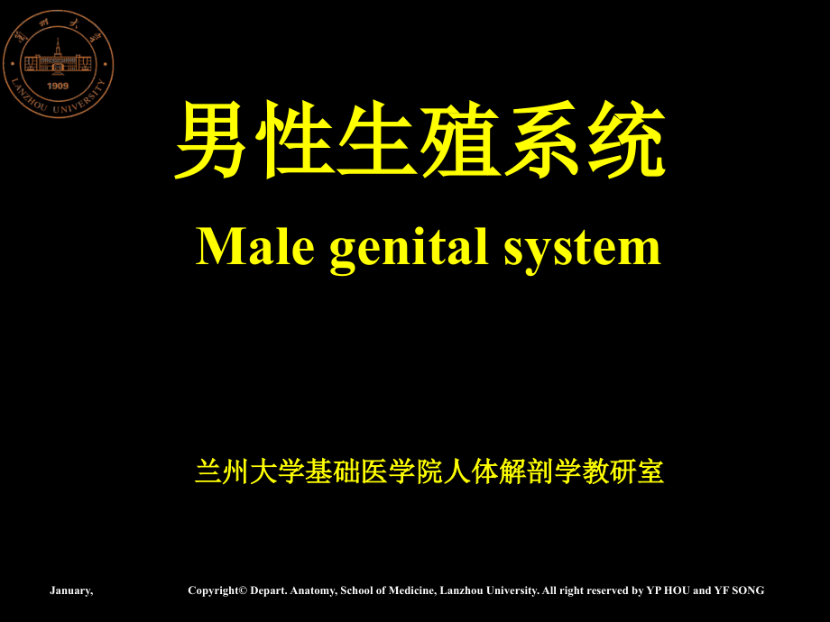 男性生殖系统专业知识培训.pptx_第1页