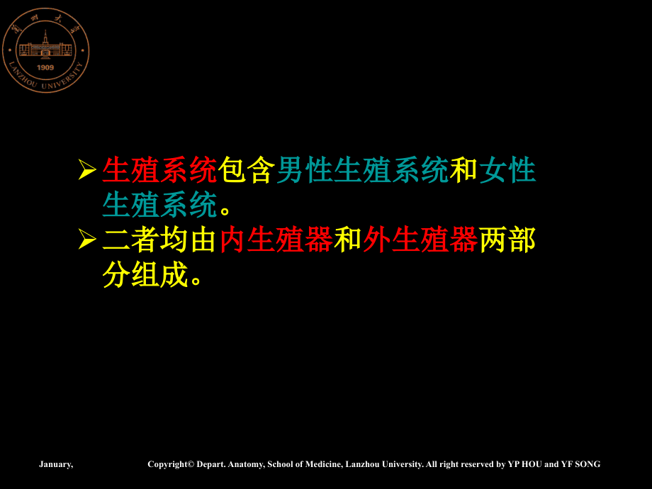 男性生殖系统专业知识培训.pptx_第2页