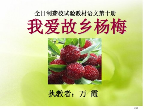 我爱故乡的杨梅新版.pptx