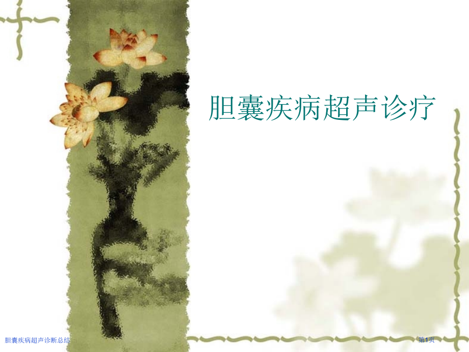 胆囊疾病超声诊断总结.pptx_第1页