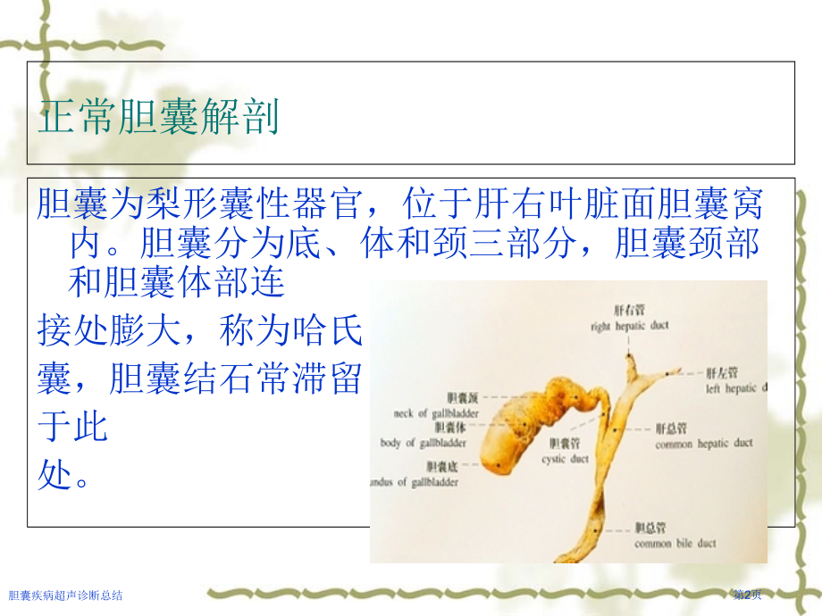 胆囊疾病超声诊断总结.pptx_第2页