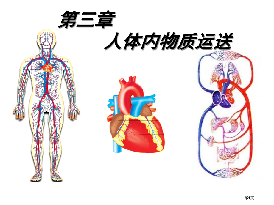 七级下册生物人体内的物质运输.pptx_第1页