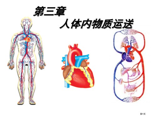 七级下册生物人体内的物质运输.pptx