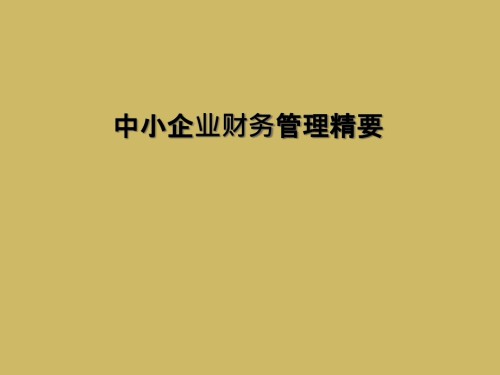 中小企业财务管理精要.ppt