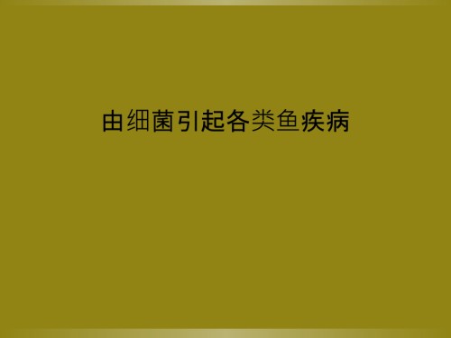 由细菌引起各类鱼疾病.ppt