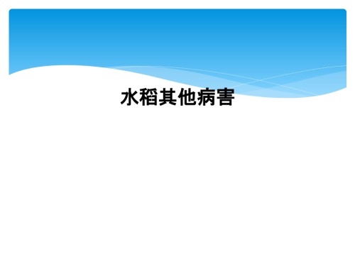 水稻其他病害.ppt
