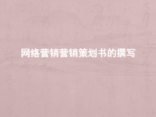 网络营销营销策划书撰写.ppt
