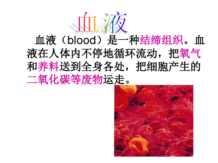 鲁科版生物七年级上册4.4.1《物质运输的载体》课件.ppt_第2页