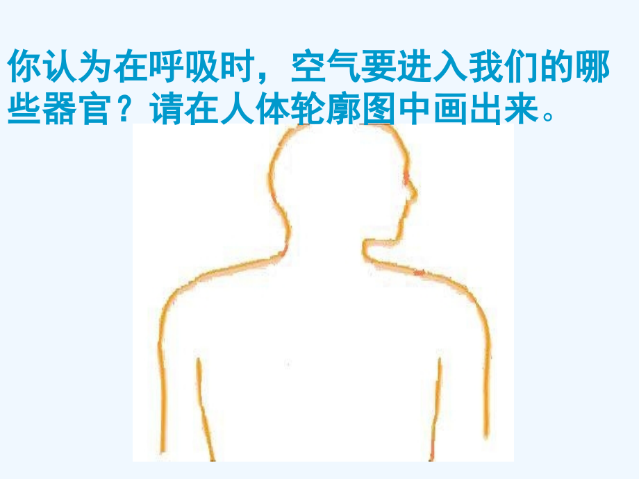 五年级科学肺和呼吸.ppt_第2页