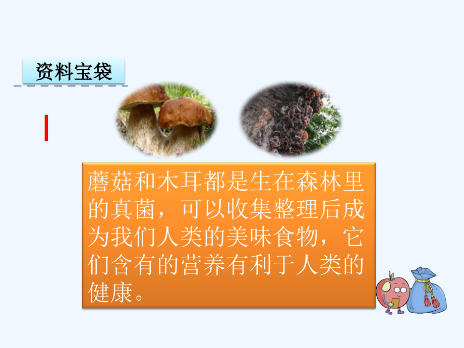 语文S版小学一年级语文4雨后的森林.ppt_第2页