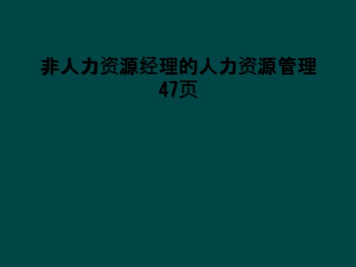 非人力资源经理的人力资源管理47页.ppt