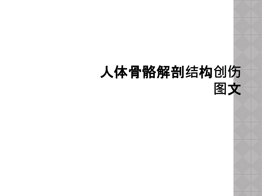 人体骨骼解剖结构创伤图文.ppt_第1页