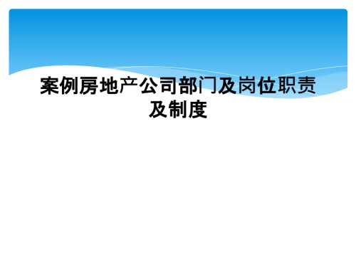 案例房地产公司部门及岗位职责及制度.ppt