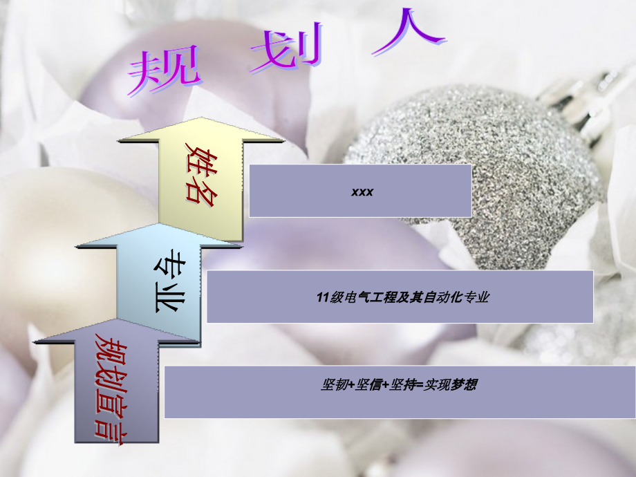 大学生职业生涯规划-演示文稿.ppt_第2页