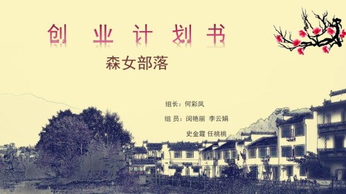 护理152何彩凤创业计划书.pptx
