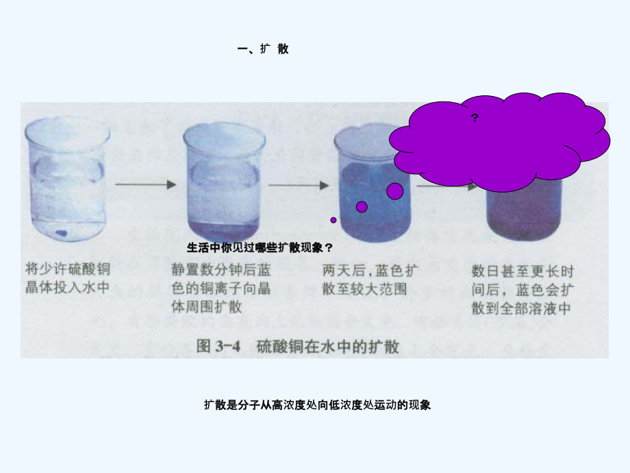 物质出入细胞的方式上课.ppt_第2页
