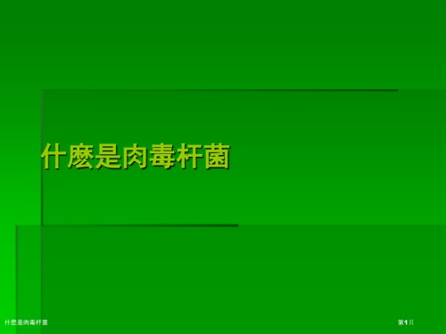 什麽是肉毒杆菌.pptx