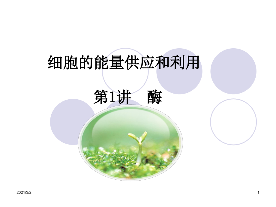 细胞的能量供应和利用---一轮复习.pptx_第1页