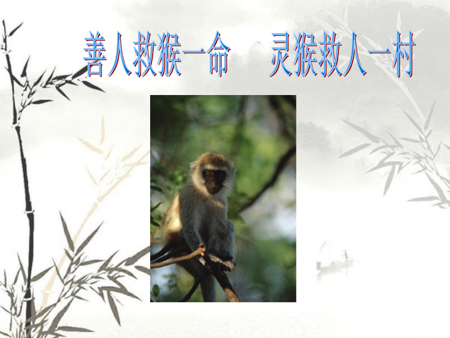 六年级下册思品课件-10.-让我们和谐相处---泰山版.ppt_第2页