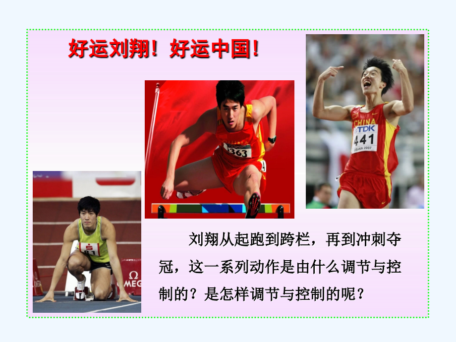 神经调节的结构基础济南版.ppt_第2页