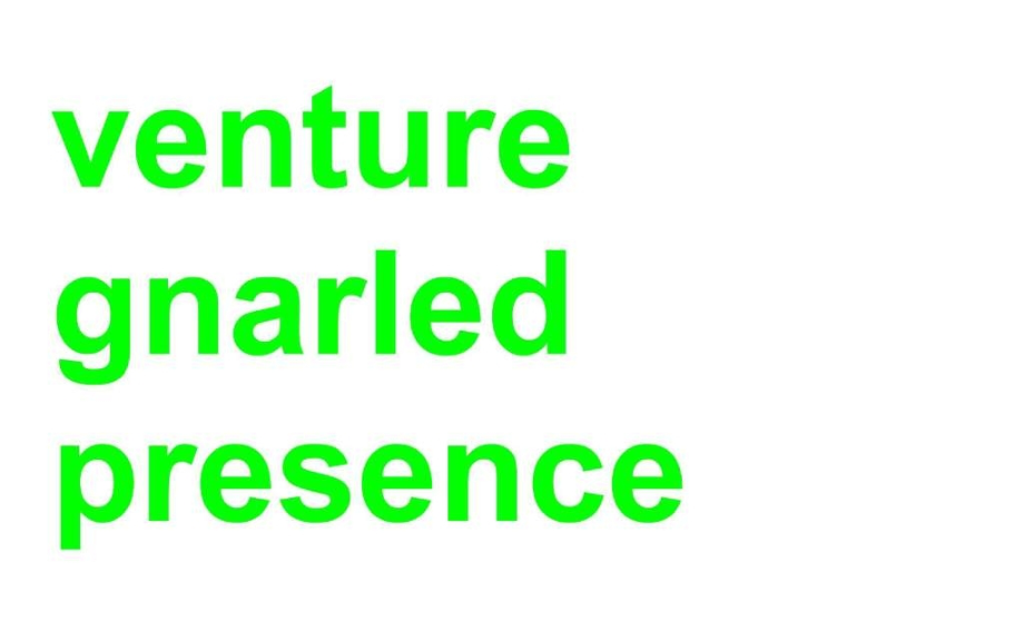 voluminous-meticulous-economic-venture-gnarled-pre.ppt_第2页