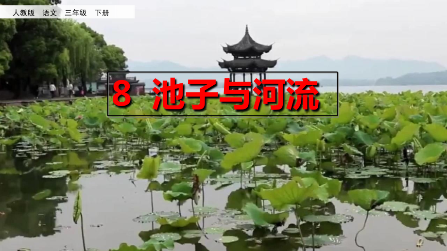 部编版语文三年级下册课件-8-池子与河流.ppt_第2页