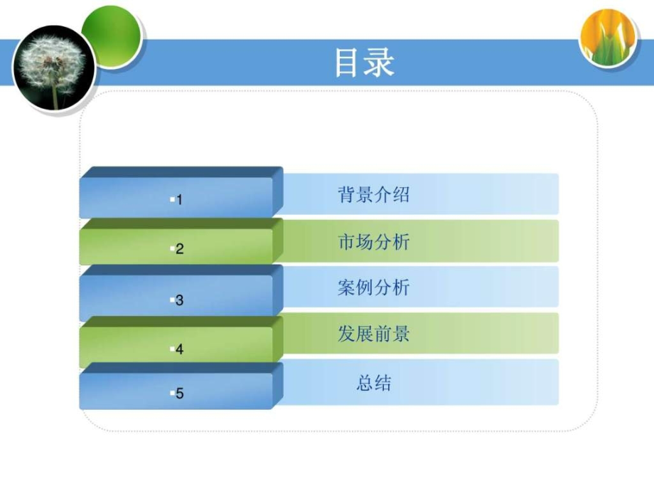 品牌策划方案舒肤佳.ppt_第2页