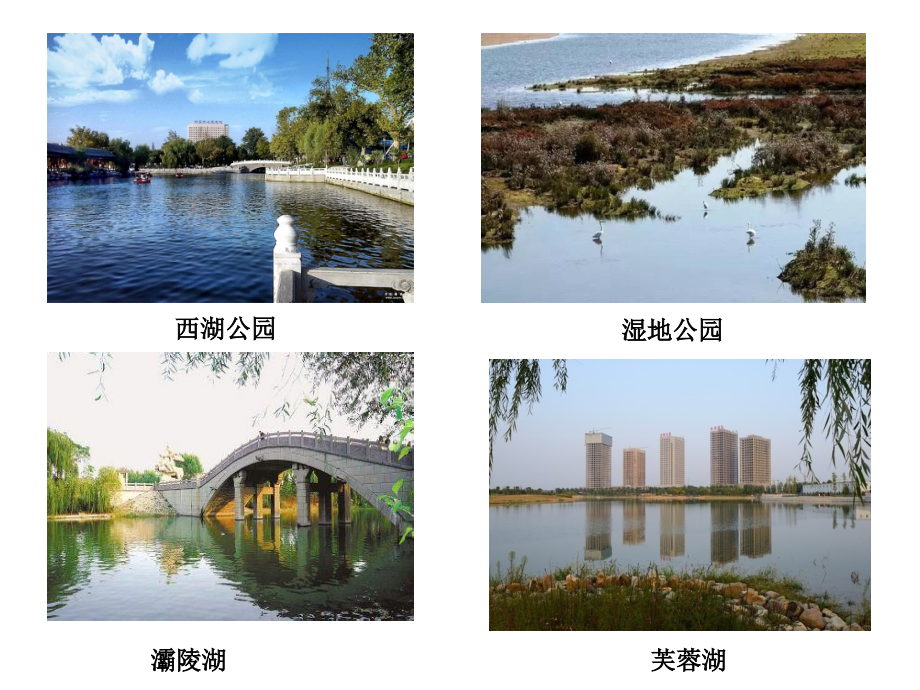 平面直角坐标(优质课).ppt_第2页