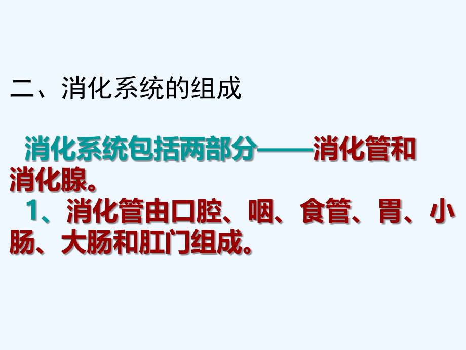 消化系统上课用.ppt_第2页