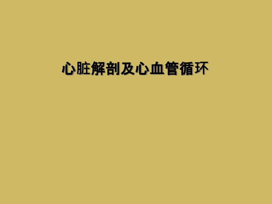 心脏解剖及心血管循环.ppt_第1页