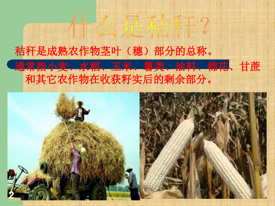 秸秆焚烧--主题班会.ppt_第2页