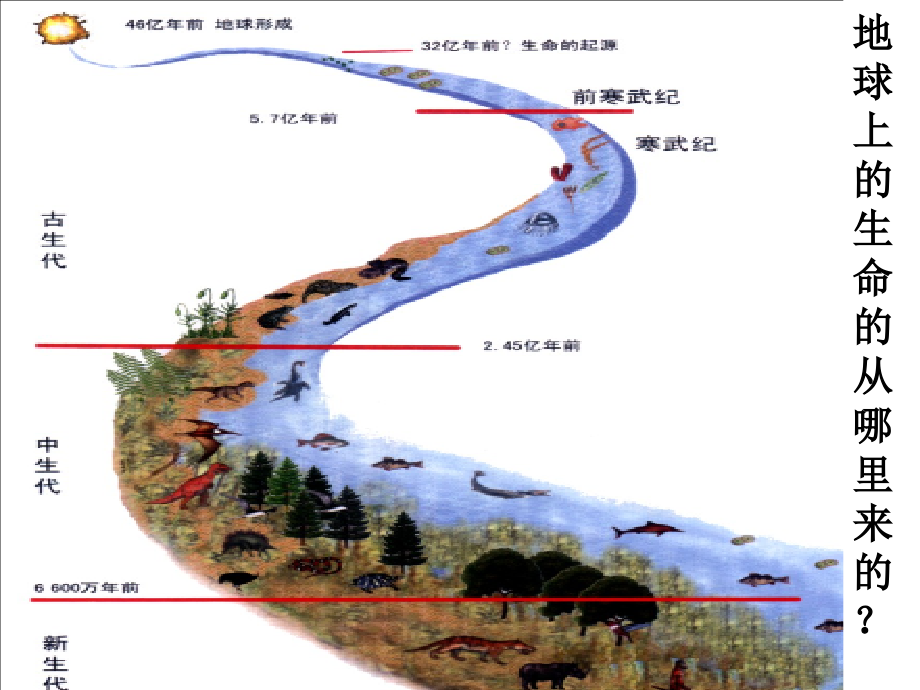 北师大版七上生物是探究生命的科学.ppt_第2页