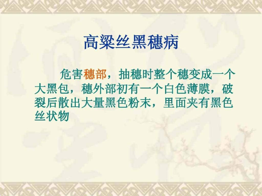 高梁黑穗病.ppt_第2页