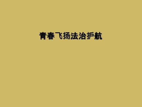 青春飞扬法治护航.ppt