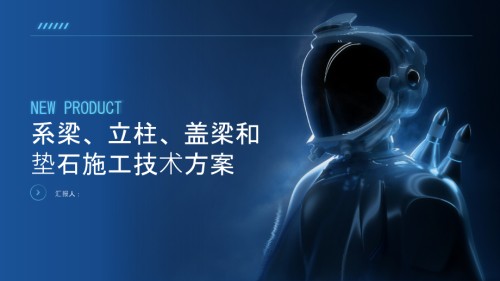 系梁、立柱、盖梁和垫石施工技术方案.pptx