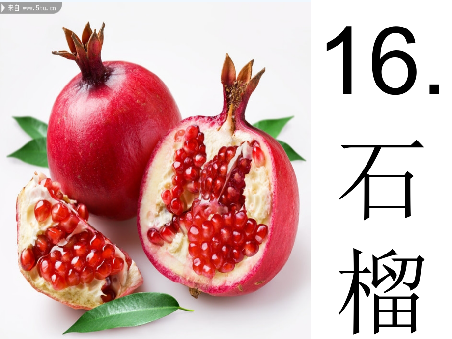 苏教版三年级上册语文16石榴).ppt_第2页
