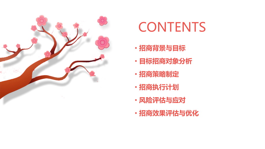 腻子招商策划方案.pptx_第2页